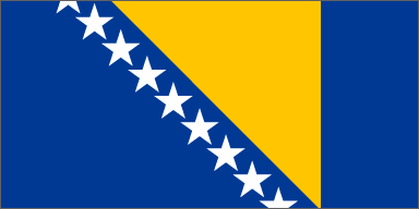 Bosnia Flag